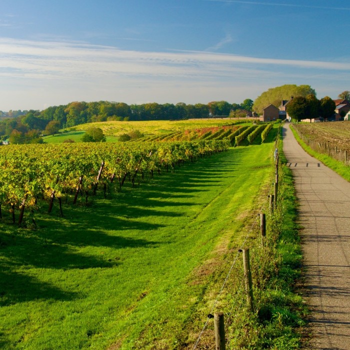 Domein de Wijngaardsberg